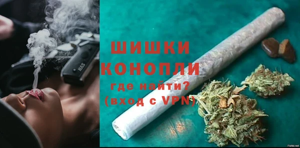 сатива Белокуриха