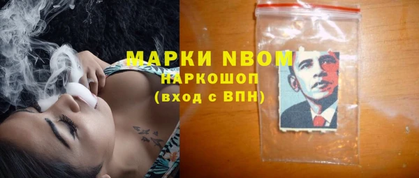 сатива Белокуриха