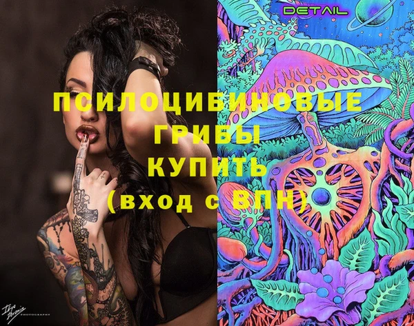 spice Беломорск
