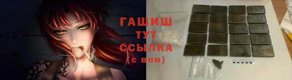 сатива Белокуриха