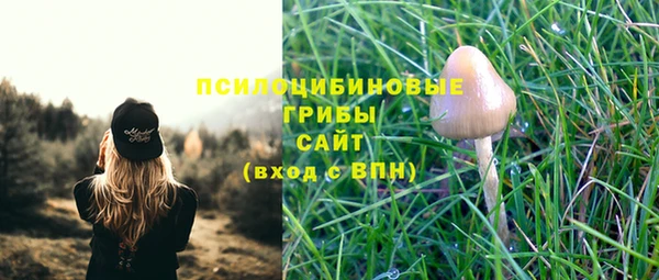 spice Беломорск