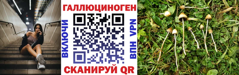 Псилоцибиновые грибы мухоморы  Очёр 